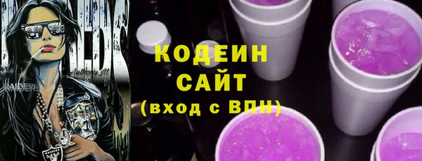 индика Баксан
