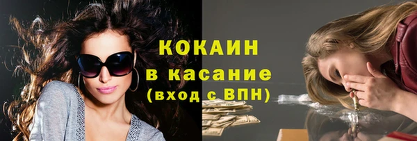 индика Баксан