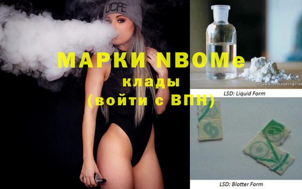 индика Баксан