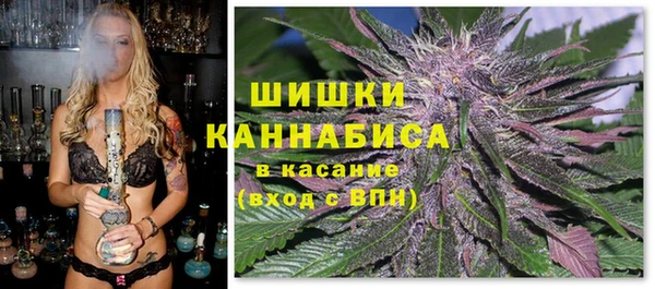 индика Баксан