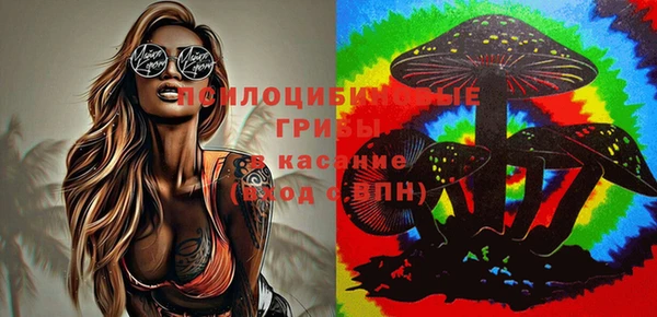 индика Баксан