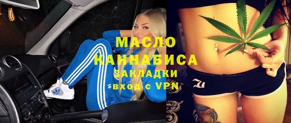 индика Баксан
