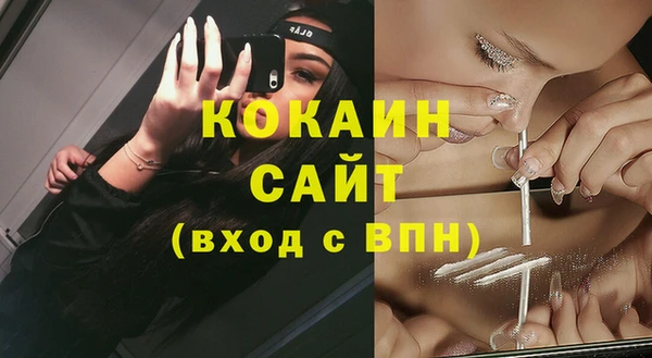 индика Баксан